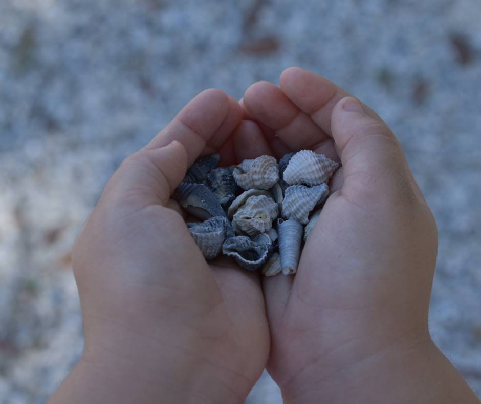 beach math activities